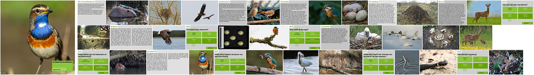 Staatsbosbeheer (Dutch Forestry Commission) uses Local Stories